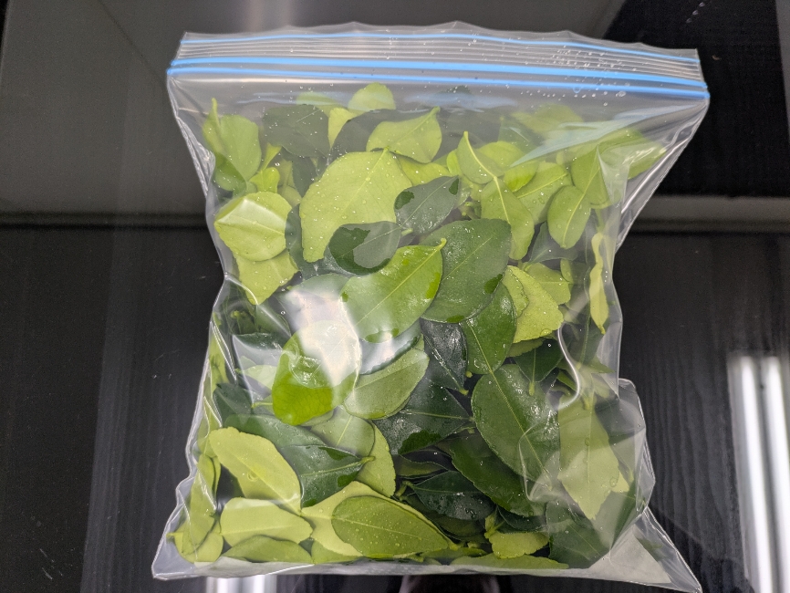 �R�u�~�J�����t�i���I�ʕi200���j