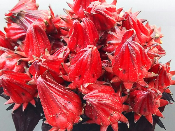 ���[�[���c�i�p�[�v���j�P��